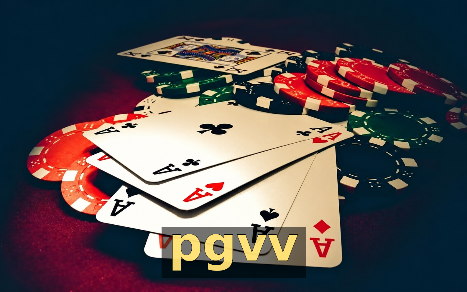 pgvv - Galeria 3